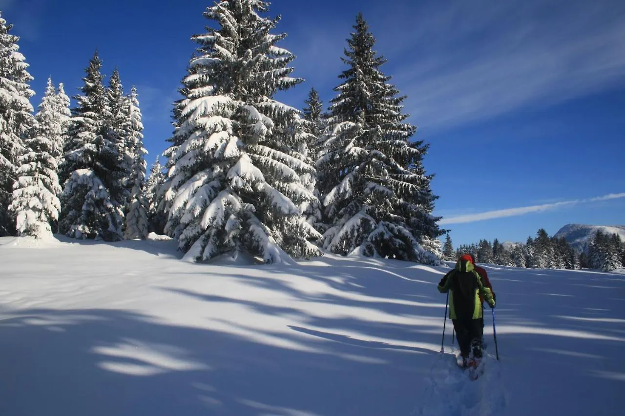 Alpin Chalets Oberjoch - Luxus Unterkunft Mit Privatem Spa Und Zugang Zu 3000 Qm Spa Panoramahotel Oberjoch Bad Hindelang